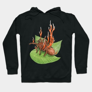 Cordyceps Tarantula (Cordyceps caloceroides) Hoodie